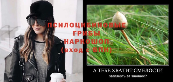 гидропоника Арсеньев