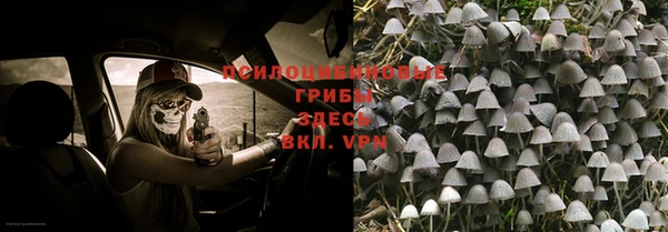 гидропоника Арсеньев