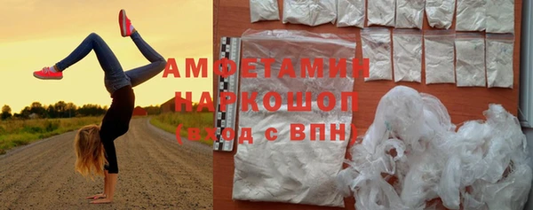 молекула духа Осташков